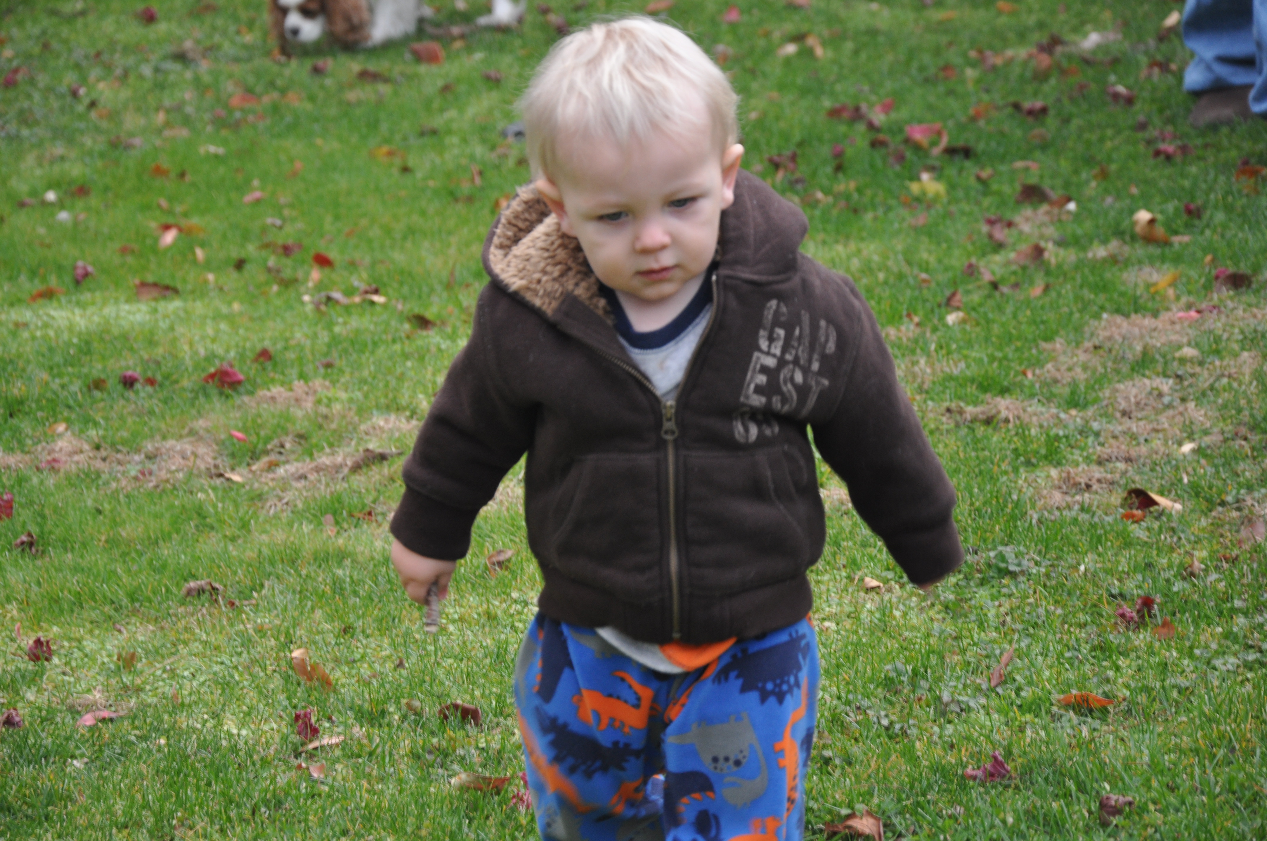 William's Seventy-Fifth Week 44.jpg